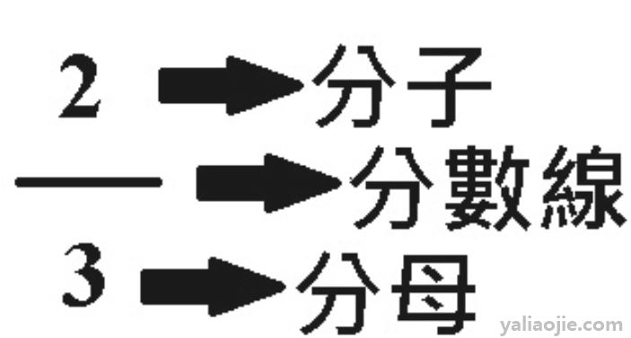 分数的意义是什么？