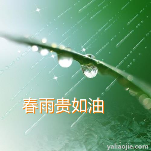 春雨贵如油下一句是什么？