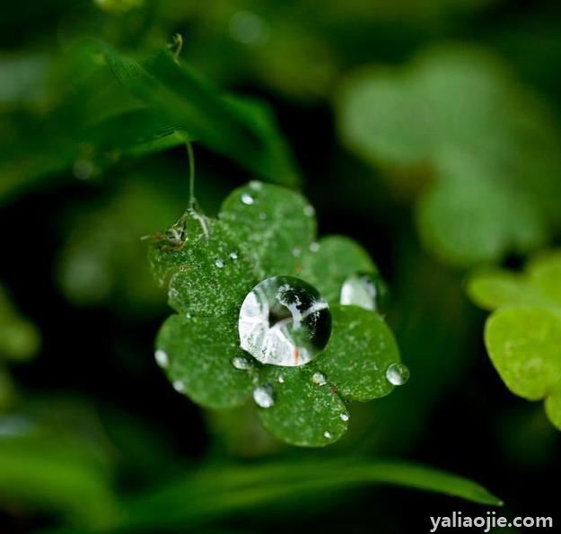 关于春雨绵绵的心情说说有哪些？