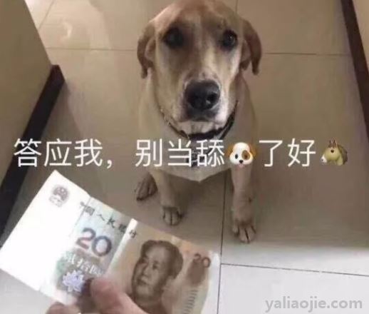 舔狗是什么意思？