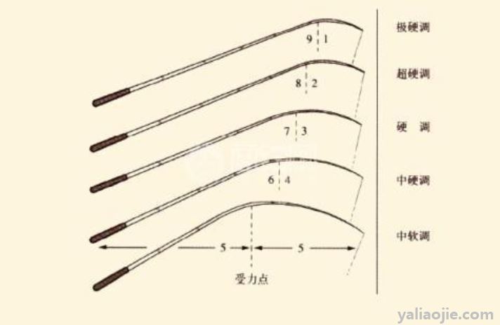 鱼竿19调和28调是什么意思？