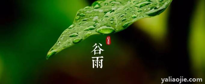 春雨惊春清谷天有几个节气？