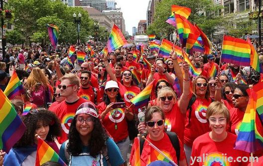 lgbt群体是什么意思啊？