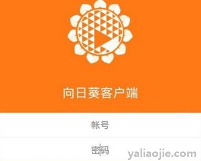 向日葵付费和免费的区别是什么？向日葵付费和免费区别现代固态