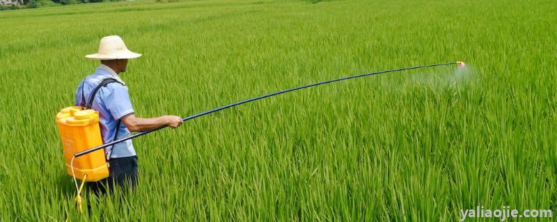 除草剂打过多久下雨没事，打除草剂湿地好还是干地好