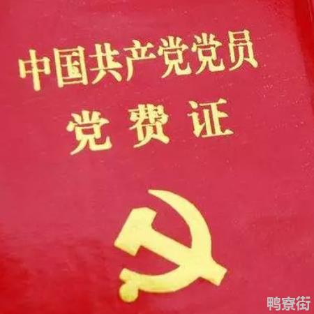 退休党员不交党费影响孩子吗？