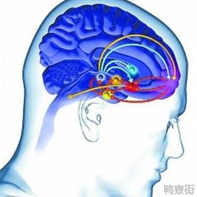 多巴胺可以让人快乐吗？多巴胺是什么分泌出来