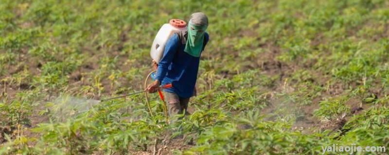 打完除草剂几天可以打营养药，打完除草剂的草多久可以喂牛