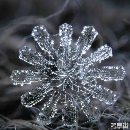 纯净的雪是什么颜色的？