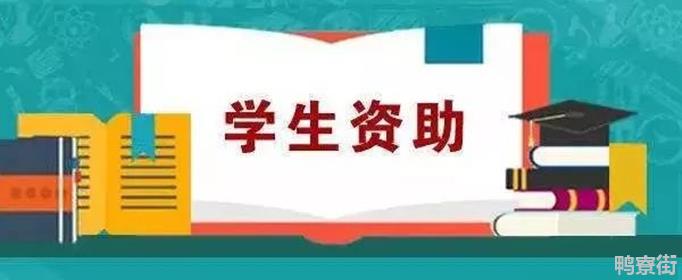 国家助学金虚假申请后果是什么