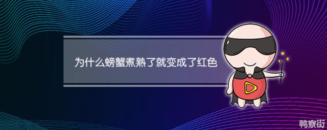 为什么螃蟹煮熟了就变成了红色 为什么螃蟹