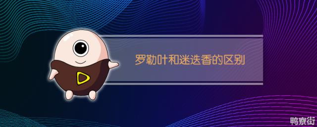 罗勒叶和迷迭香有什么不同