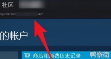 steam17位ID在哪里