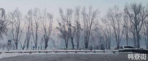 下雪高情商发圈句子有哪些