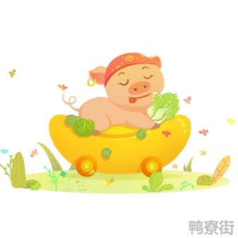 属猪的幸运色是什么颜色