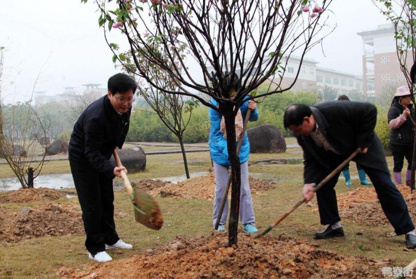 小学生植树节宣传语有哪些