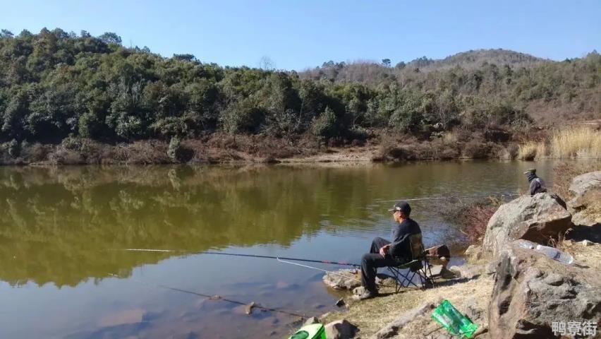 野钓什么东西诱鱼最快