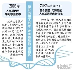 完整人类基因组首次被破译：人类“DNA蓝图”首次揭开全貌