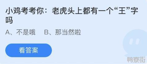 老虎头上都有一个王字吗